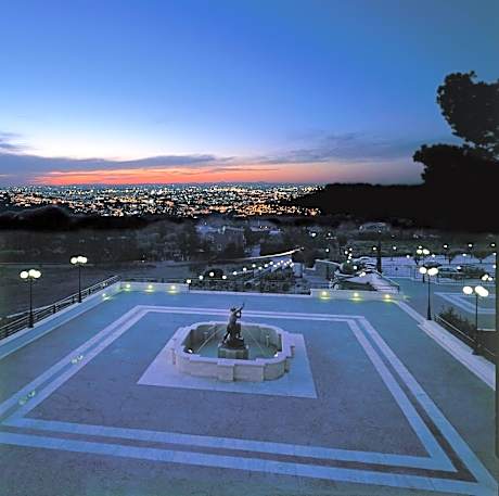 Superior Double or Twin Room with City View