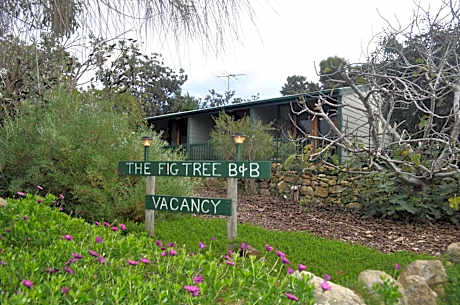 The Fig Tree B&B