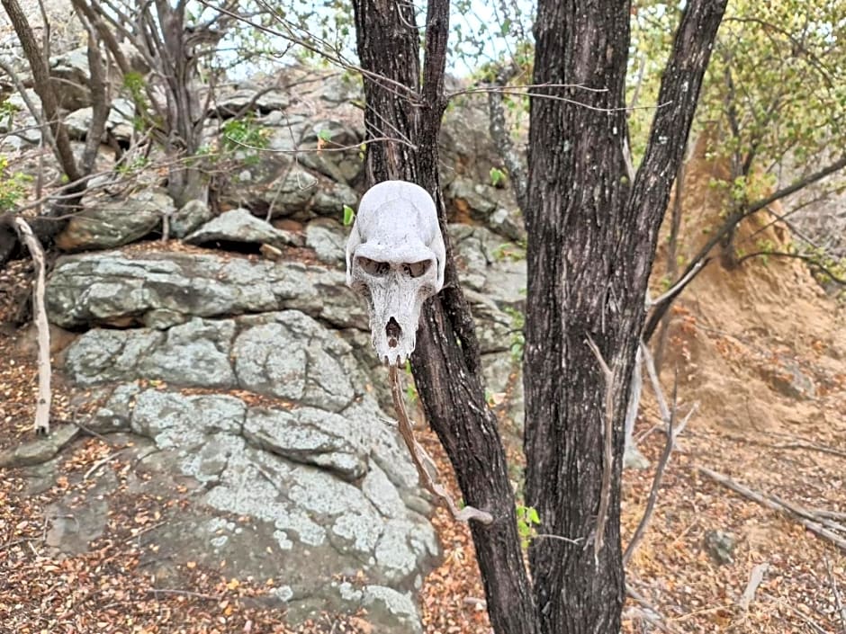 Nthakeni Bush & River Camp