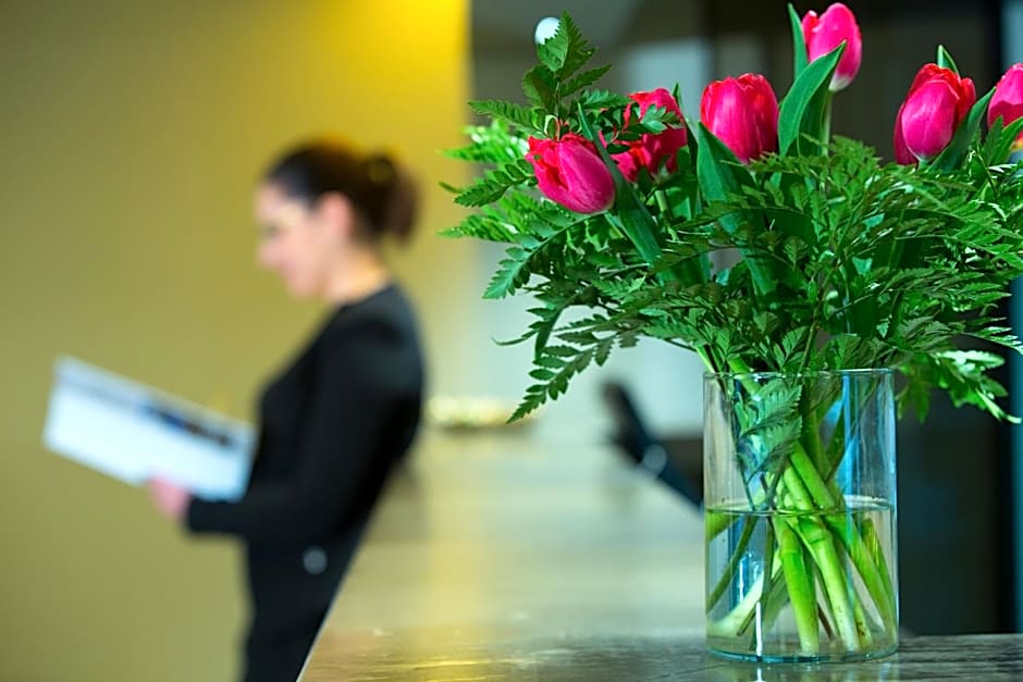 Airone City Hotel