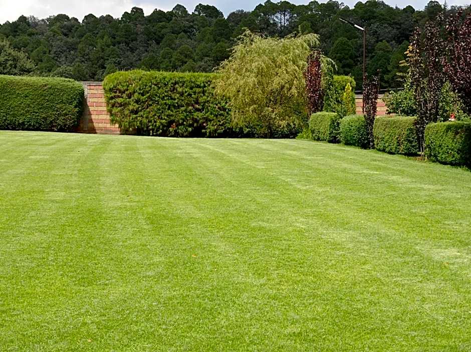 Finca Marix, Villa del Carbón