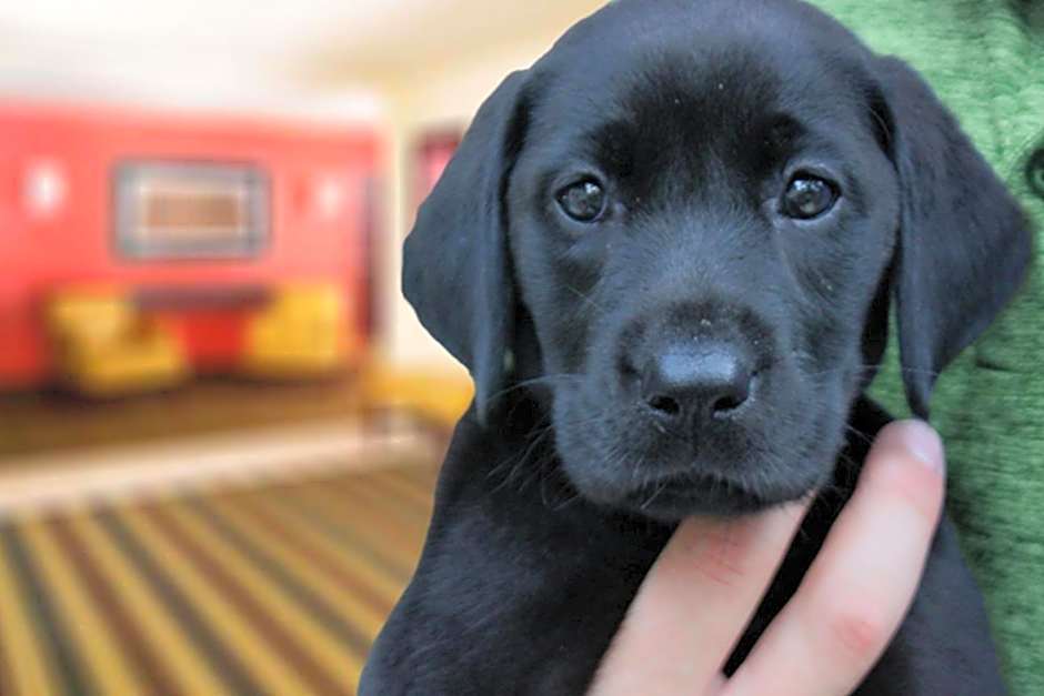 Extended Stay America Suites - Merrillville - US Rte. 30