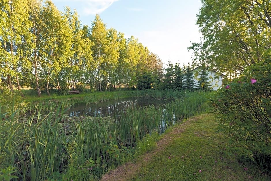 Domki Letniskowe Aleksandra