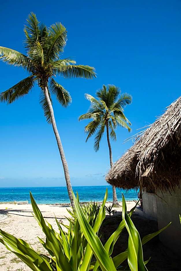 Castaway Island, Fiji
