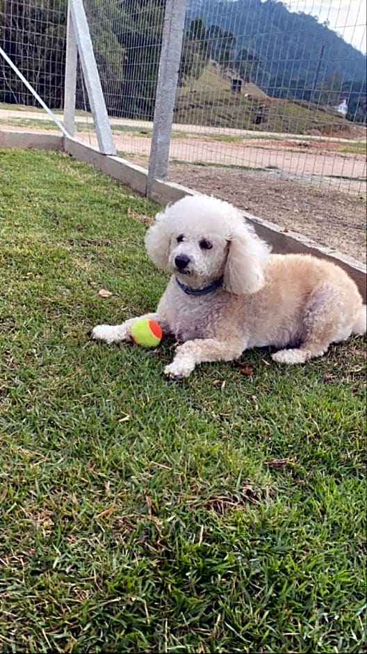 Caminhos da Serra do Tabuleiro - Chalé Araucária