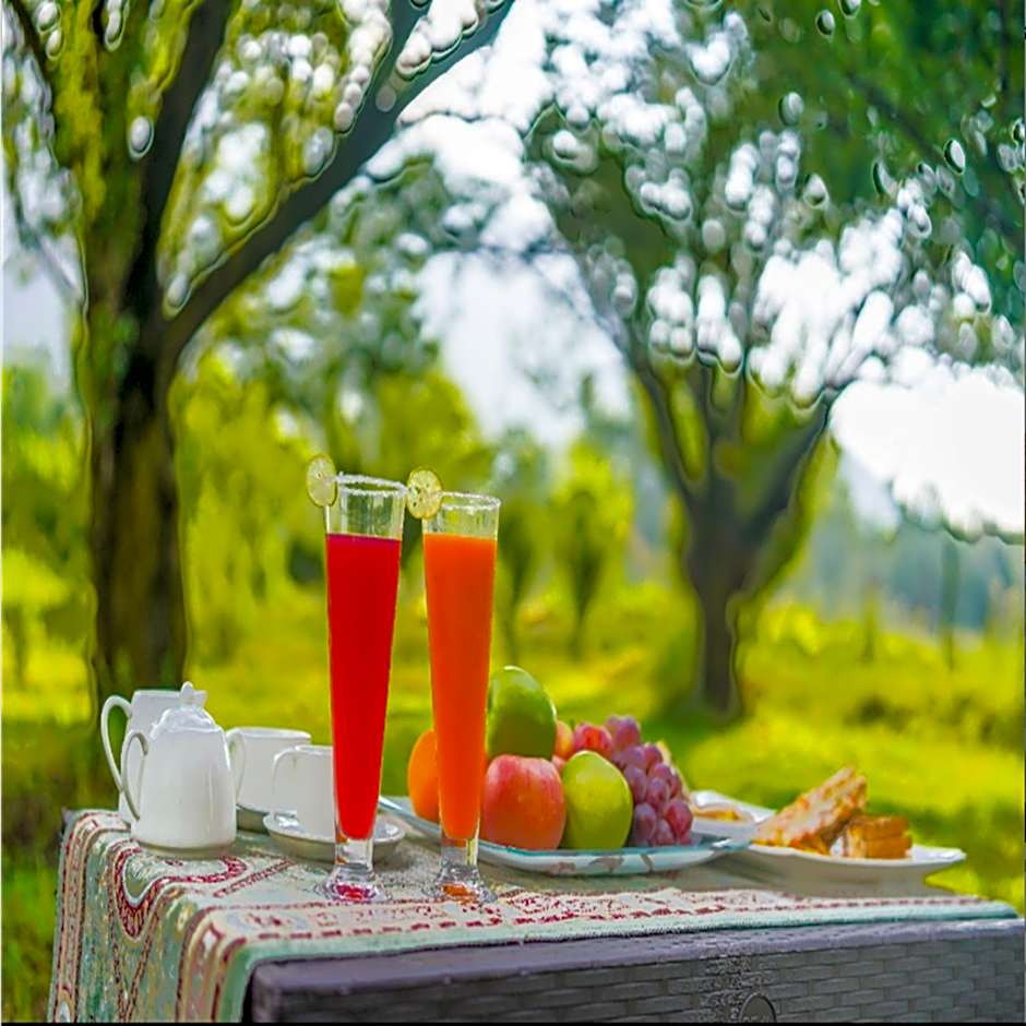 Hotel Saima – Srinagar, PA