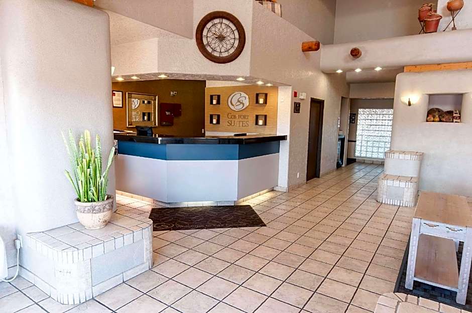 Comfort Suites   University