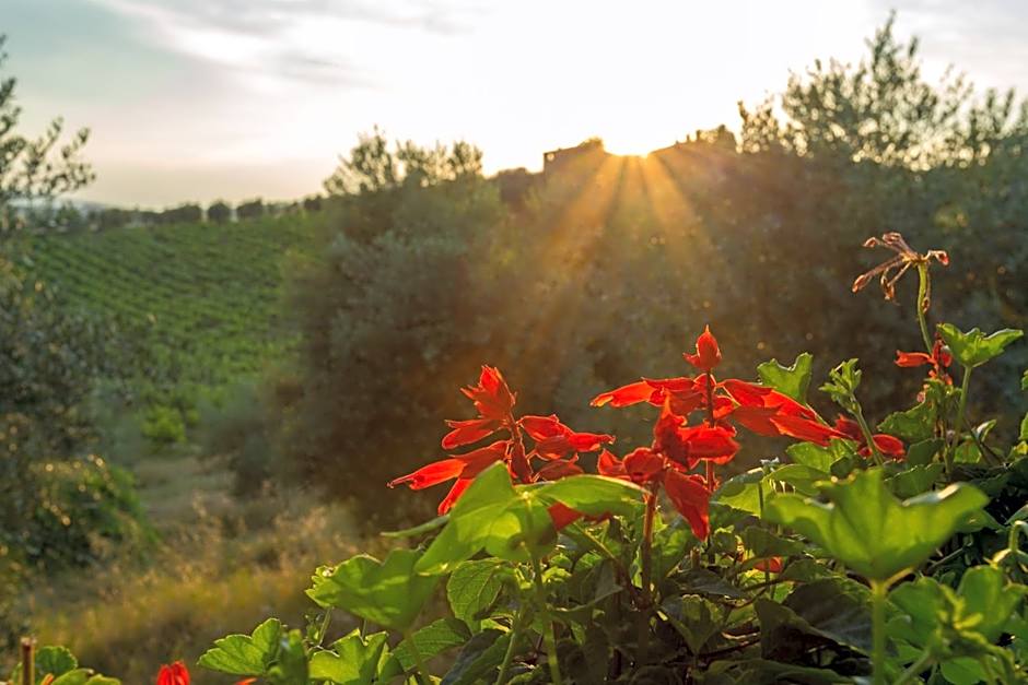 Tenuta Di Monaciano