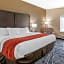 Comfort Inn & Suites Lubbock