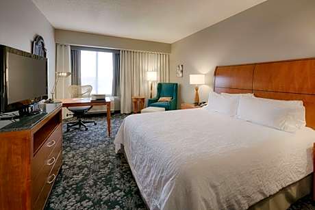 1 King Bed