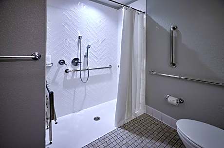 Suite, 1 Bedroom (Mobility/Hearing Accessible, Tub) (1 Queen Bed and 1 Double Sofa Bed)