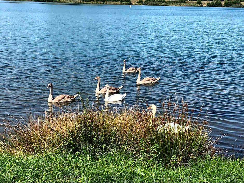 Les Tilleuls Montbeliard Sud Audincourt