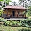 Bali mountain forest cabin