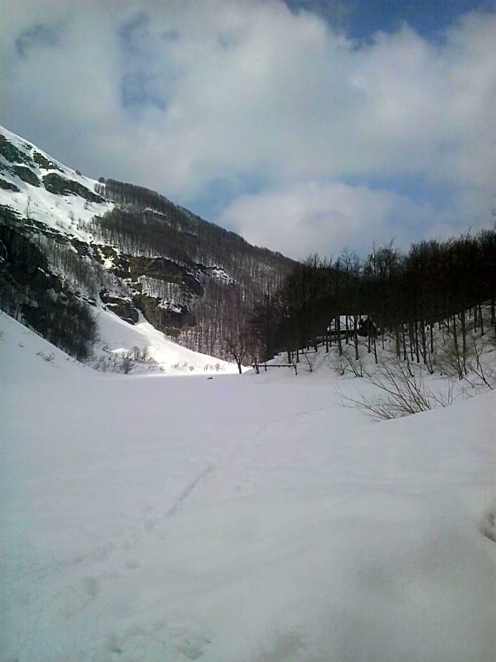 Appartamento il Bosco