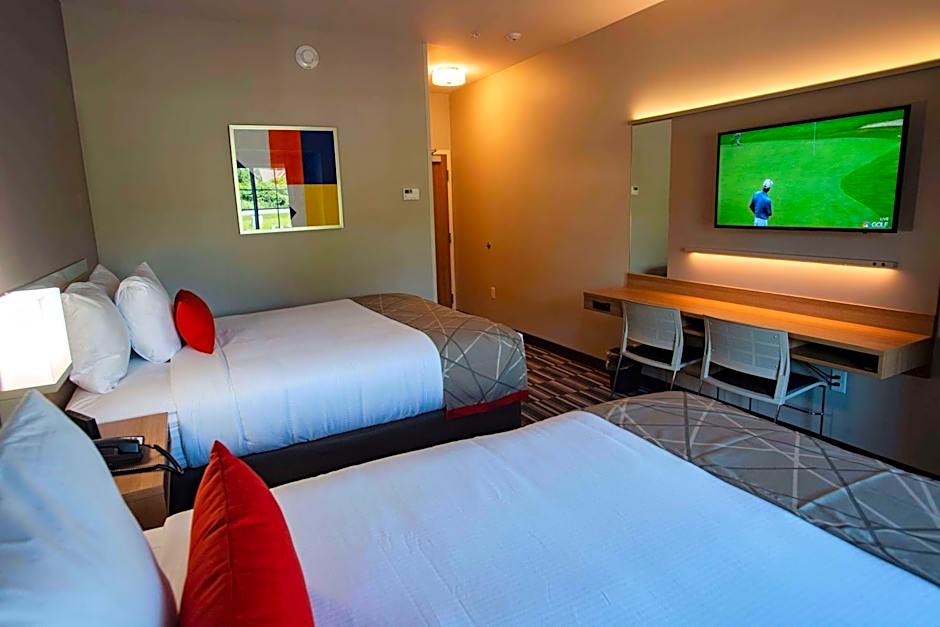 Microtel Inn & Suites by Wyndham Amsterdam