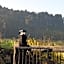 Tongariro Springs Boutique B&B