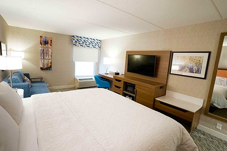 Photo 1 of 3 of 1 King Bed with Sofabed