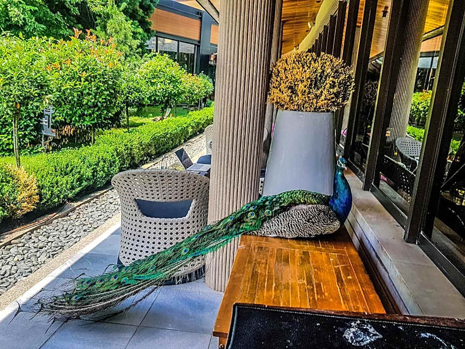 Hotel Marinela Sofia