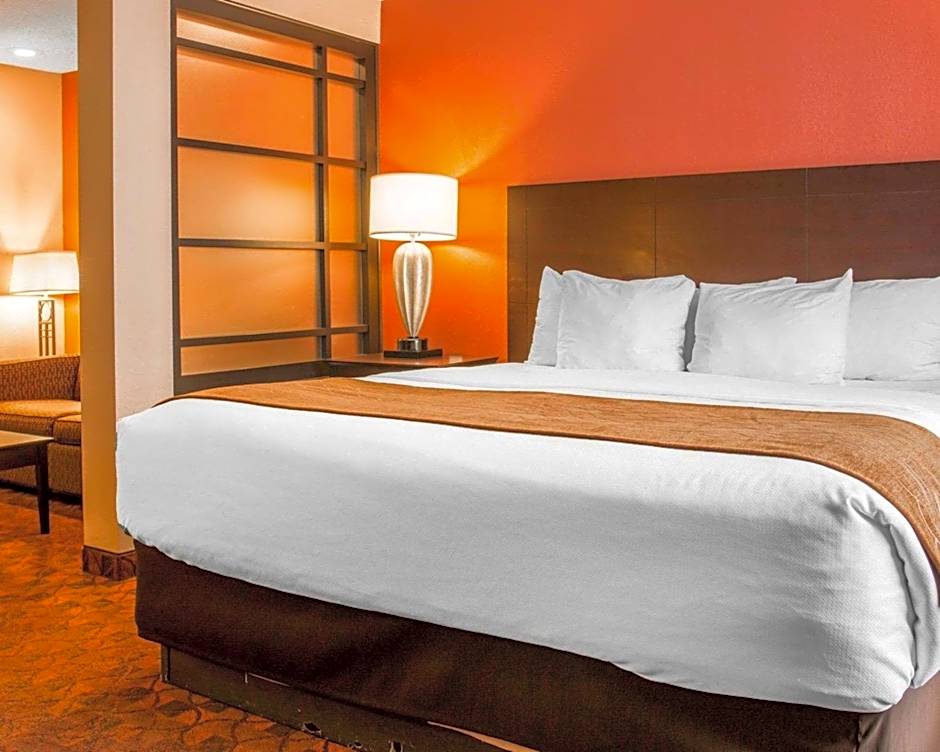 Comfort Inn & Suites and Conference Center