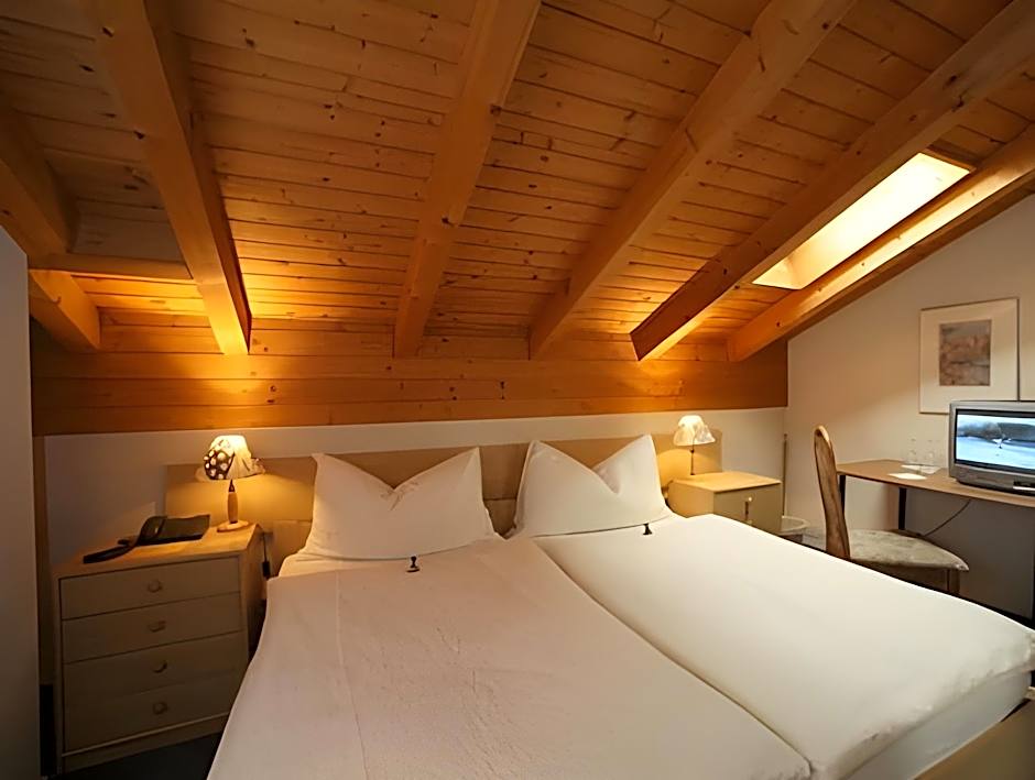 Hotel Alpha Thun