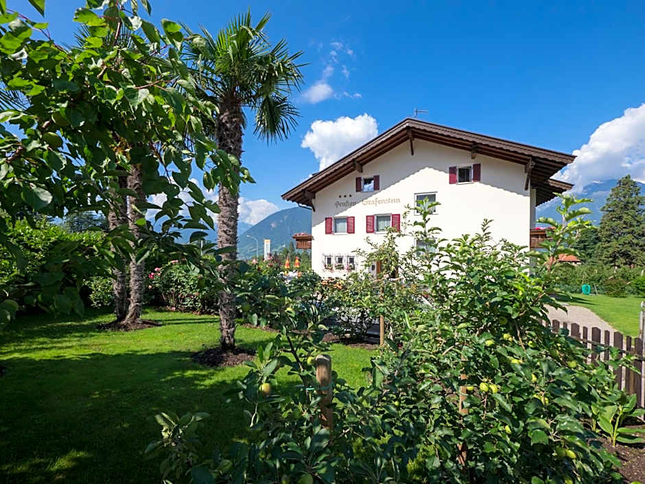 Guesthouse Pension Grafenstein