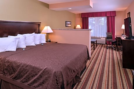 Suite-1 King Bed, Mobility Accessible, Bathtub, Non-Smoking, Full Breakfast