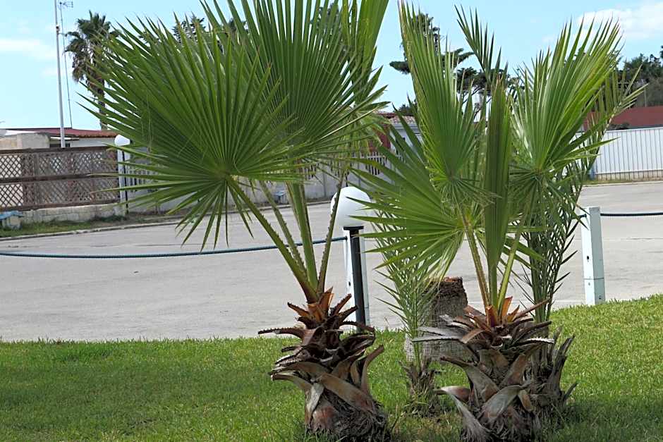 torquemada beach club