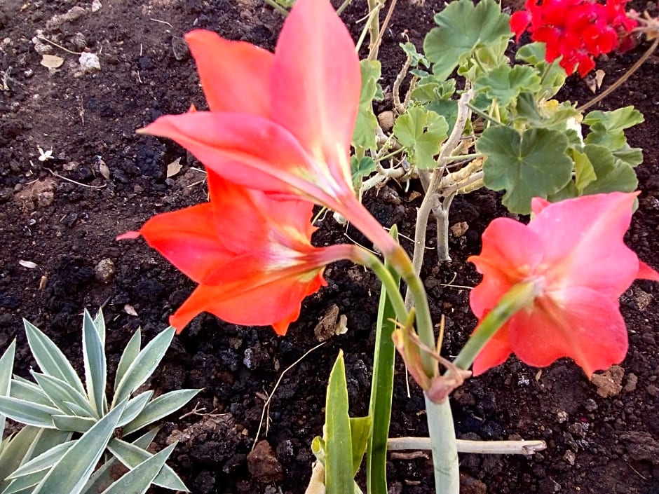 Rest. e Pousada Fabiao II