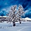 Snow+Surf B&B
