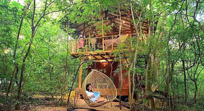 Back of Beyond Pidurangala