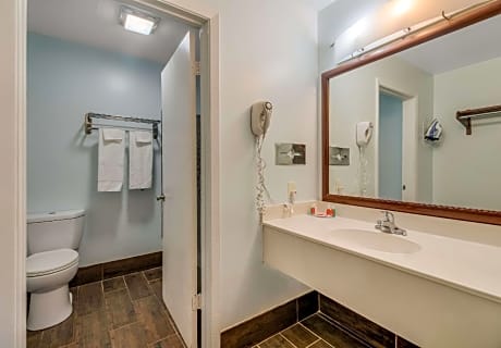 1 King Bed Suite Nonsmoking
