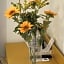 B&B Ariston Pisa Tower