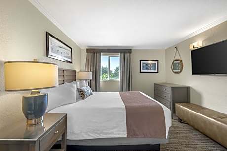 King Suite with Sofa Bed - Partial Ocean View