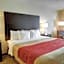 Comfort Inn & Suites Amarillo West Near Medical Center