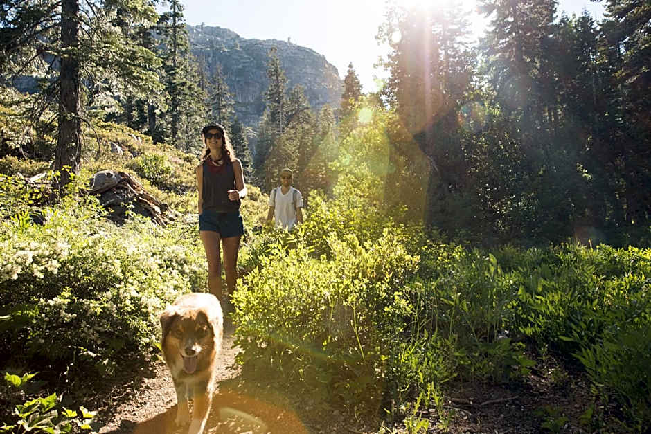 The Village at Palisades Tahoe