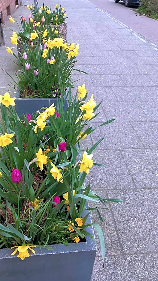 Aparthotel Marion Weber