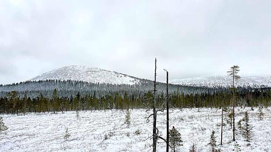 Hotel Lost In Ylläs