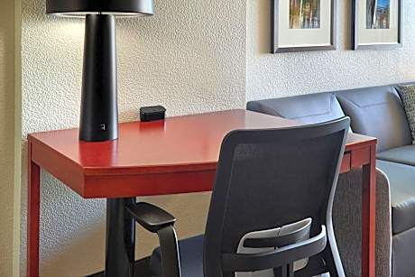 Studio, 1 King, Sofa bed (Mobility and Hearing Accessible w/Roll-in Shower)