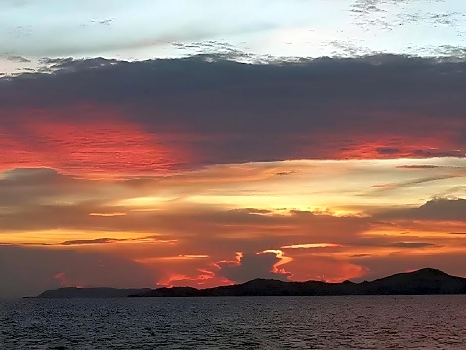 Sea Falcon on the Water