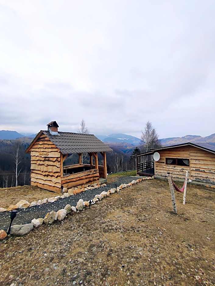 Cabana doi mesteceni