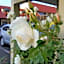 Rose City Motel
