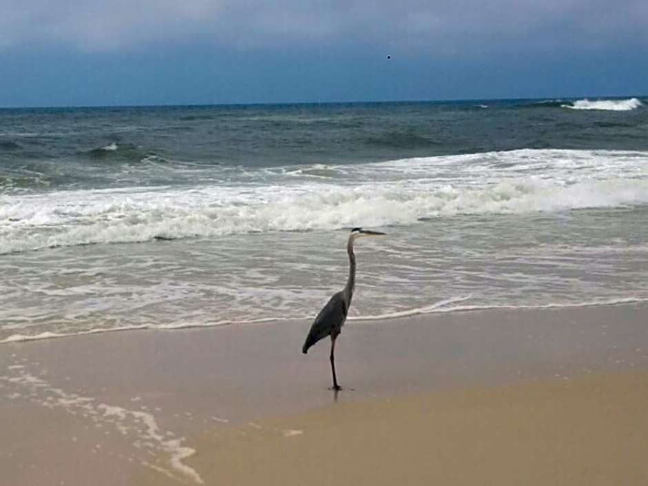 Bill’s at Gulf Shores