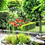 Marchmont Gardens
