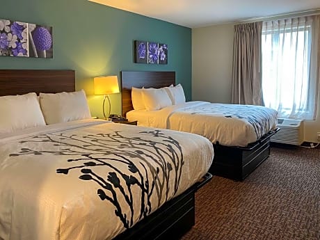 Quadruple Room with Two Queen Beds and Roll-In Shower - Disability Access/Non Smoking