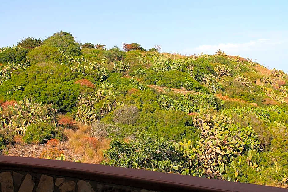 Hotel Restaurant Diana