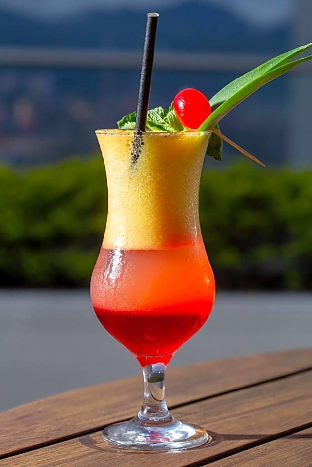 Hotel San Fernando Plaza