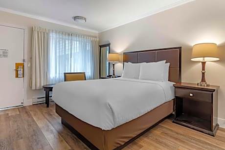 Queen Room with Walk-In shower - Disability Access