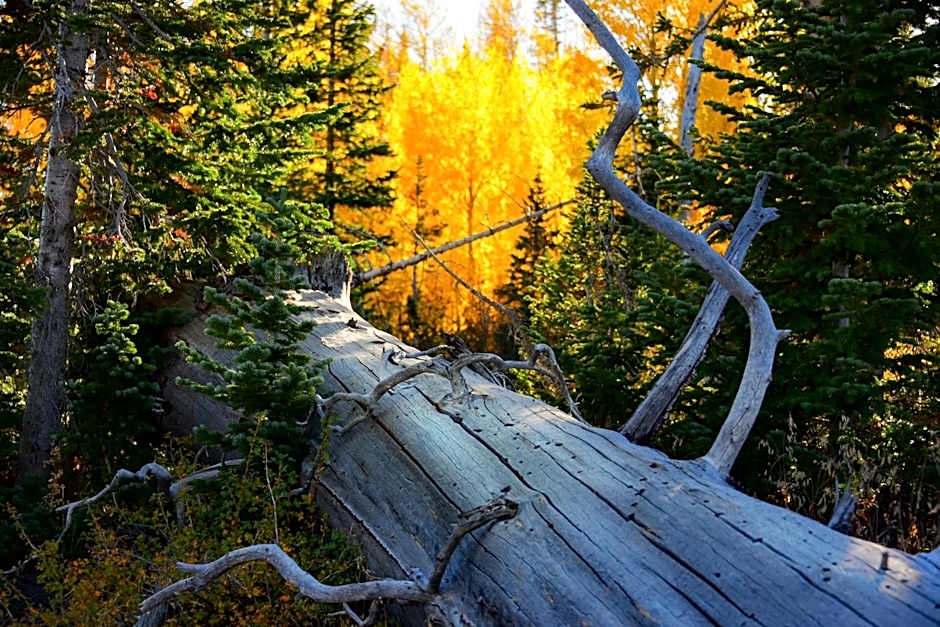 Iron Springs Luxury Lodge & Spa