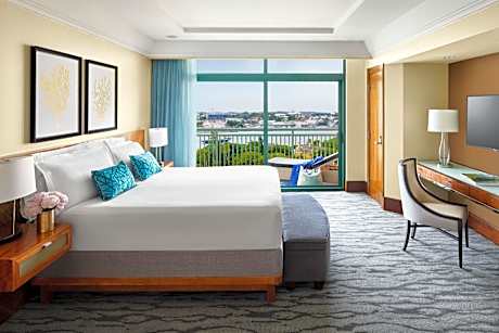 1 Bedroom Harbour Suite