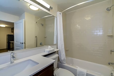 1 Queen Bed 1 Bedroom Suite